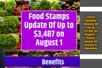 Food Stamps Update Of Up to $3,487 on August 1: Know About All States & Benefits