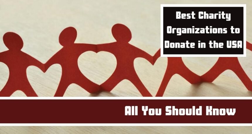 Best Charity Organizations to Donate in the USA: All You Should Know