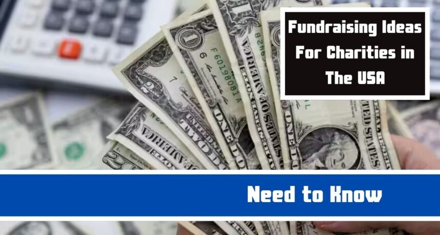 Fundraising Ideas For Charities in The USA: Everything You Need to Know