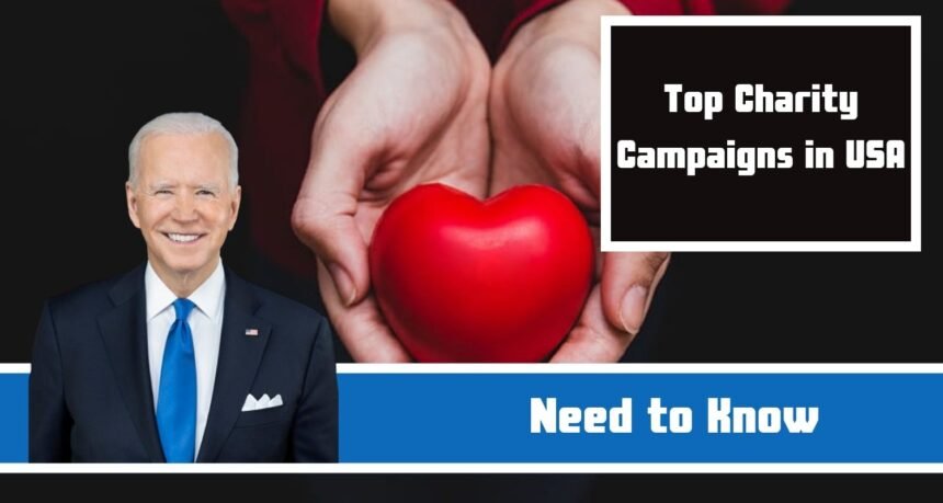 Top Charity Campaigns in USA: Everything You Need to Know